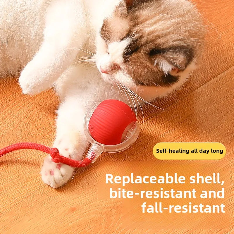 Cat playing with a red ball toy on a wooden floor