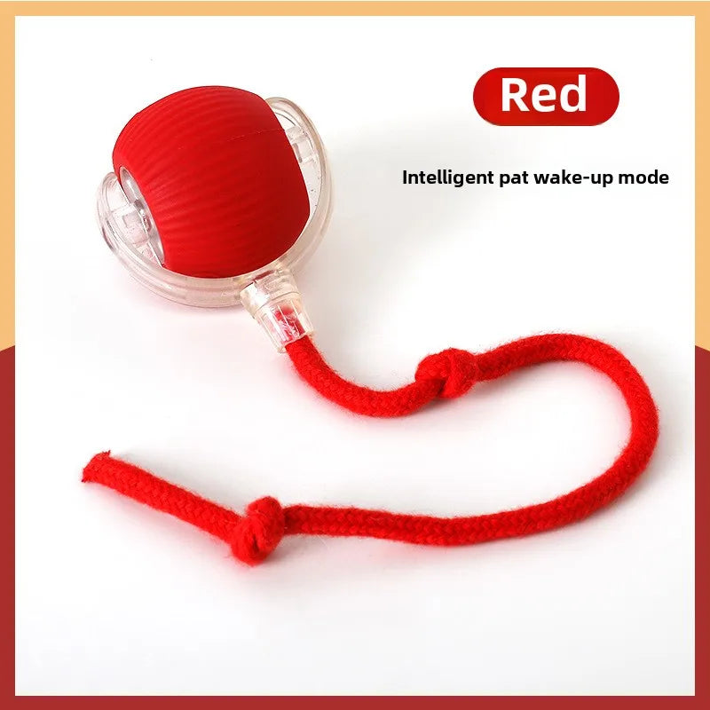 Red pet toy with a rope on a white background