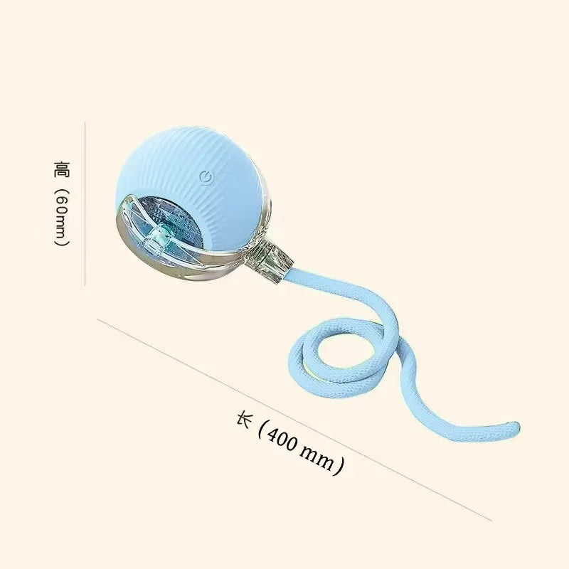 Blue retractable badge holder with measurements on a white background