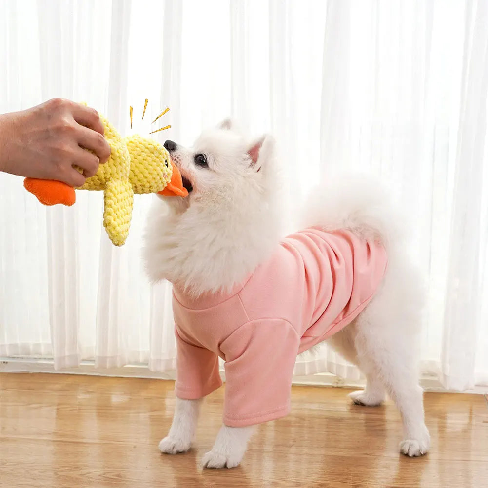 Small white dog in a pink outfit playing with a yellow duck plush indoors.