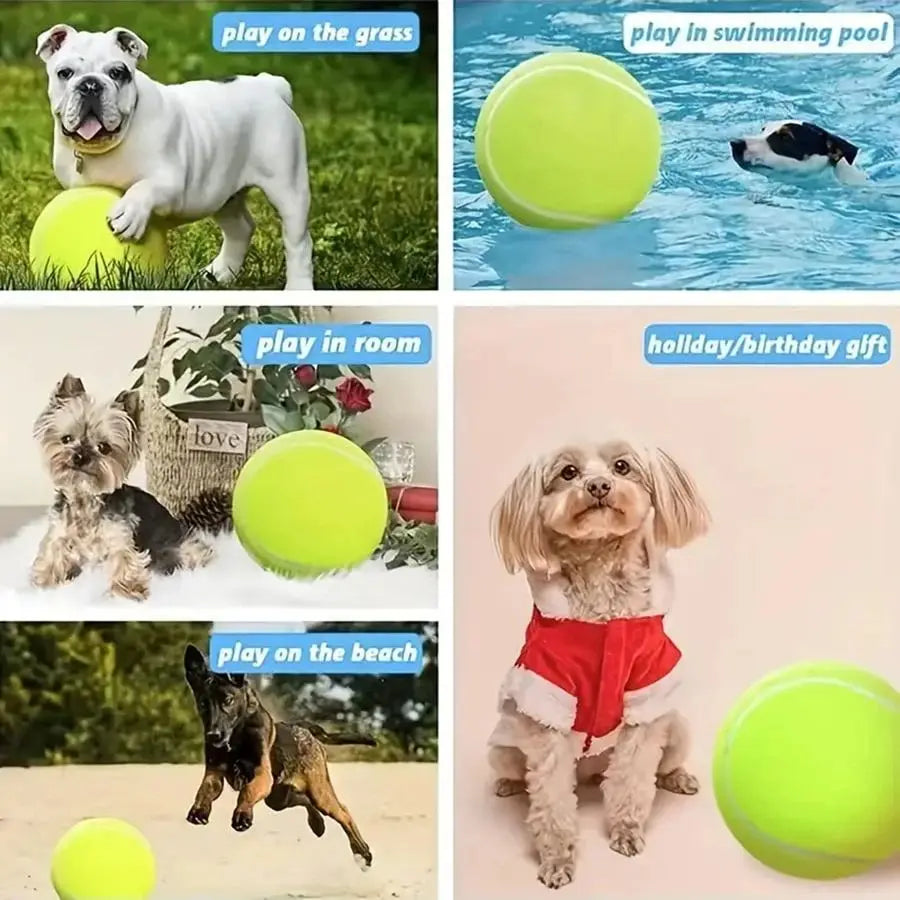 Collage of dogs playing with the 9.5 inch tennis ball in various scenarios.