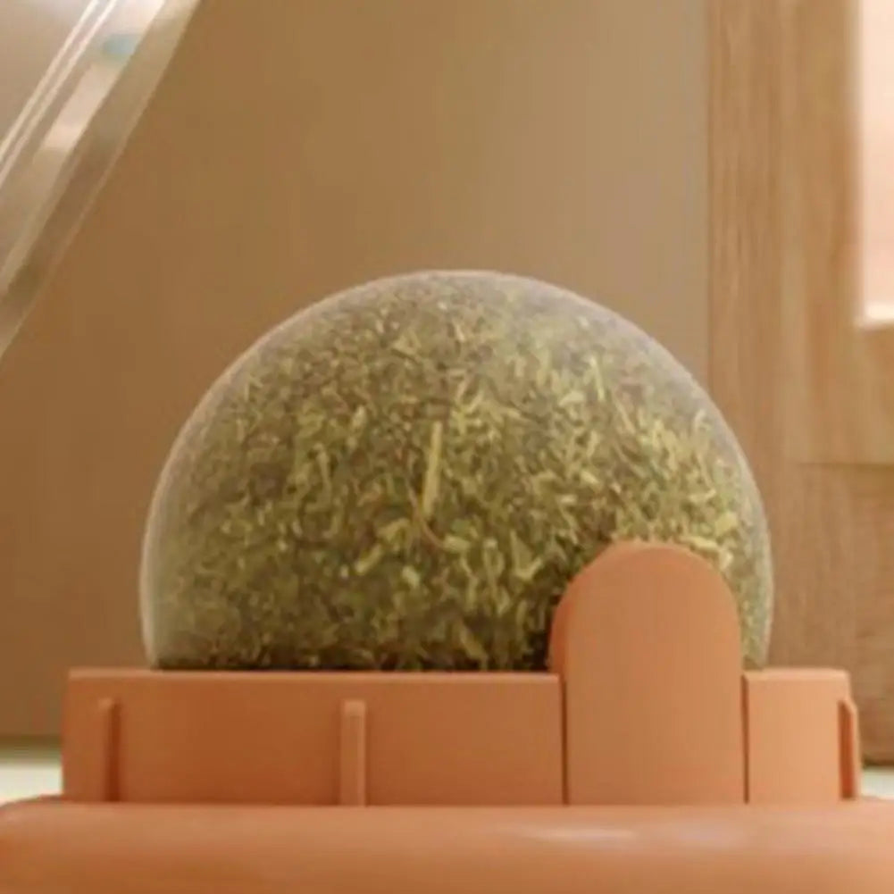 Clear spherical object with greenery inside on a brown surface