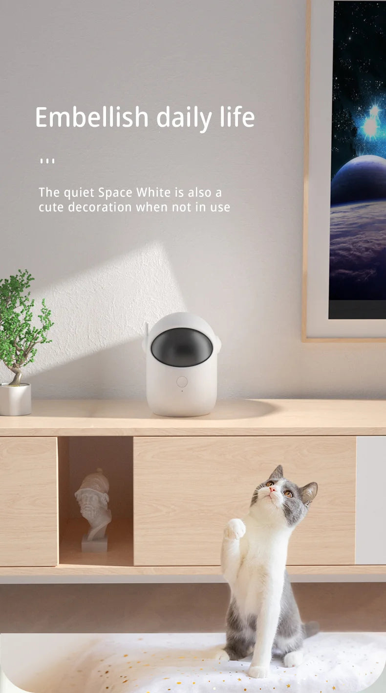 White cylindrical product on a wooden shelf with a cat and decorative items in a room.