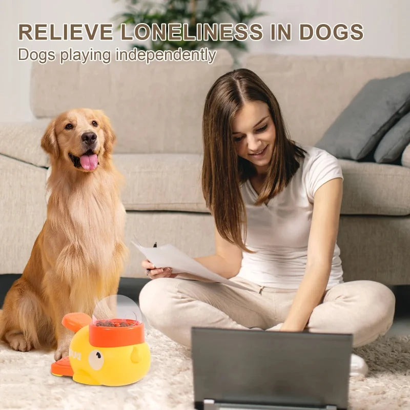 Woman sitting on the floor with a dog and a toy, text 'Relieve Loneliness in Dogs: Dogs playing independently'.