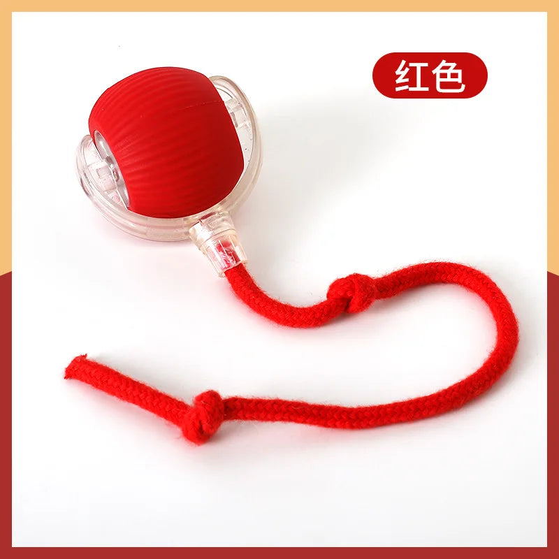 Red lanyard with a clear plastic holder on a white background