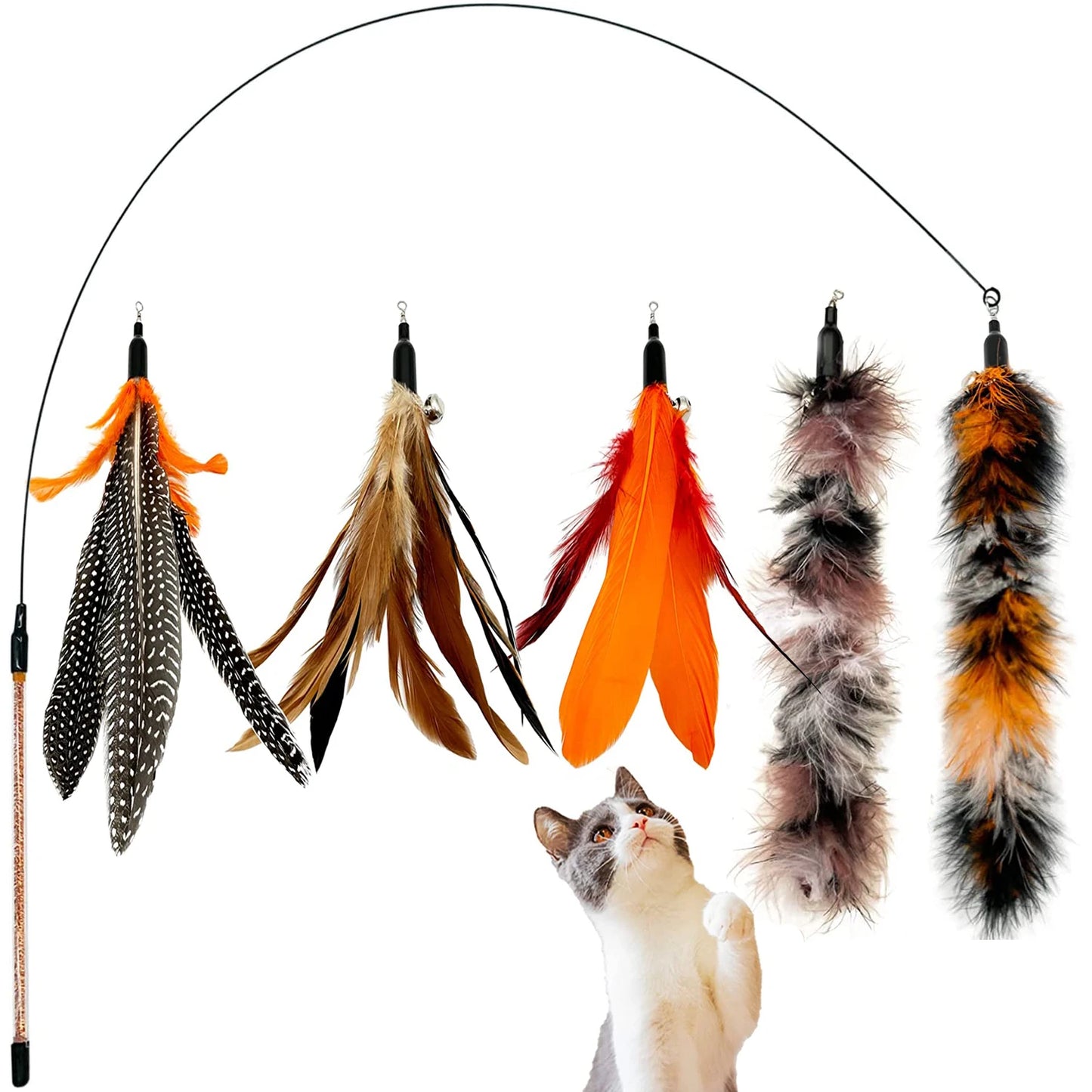 Set of feather cat toys with a cat looking at them on a white background