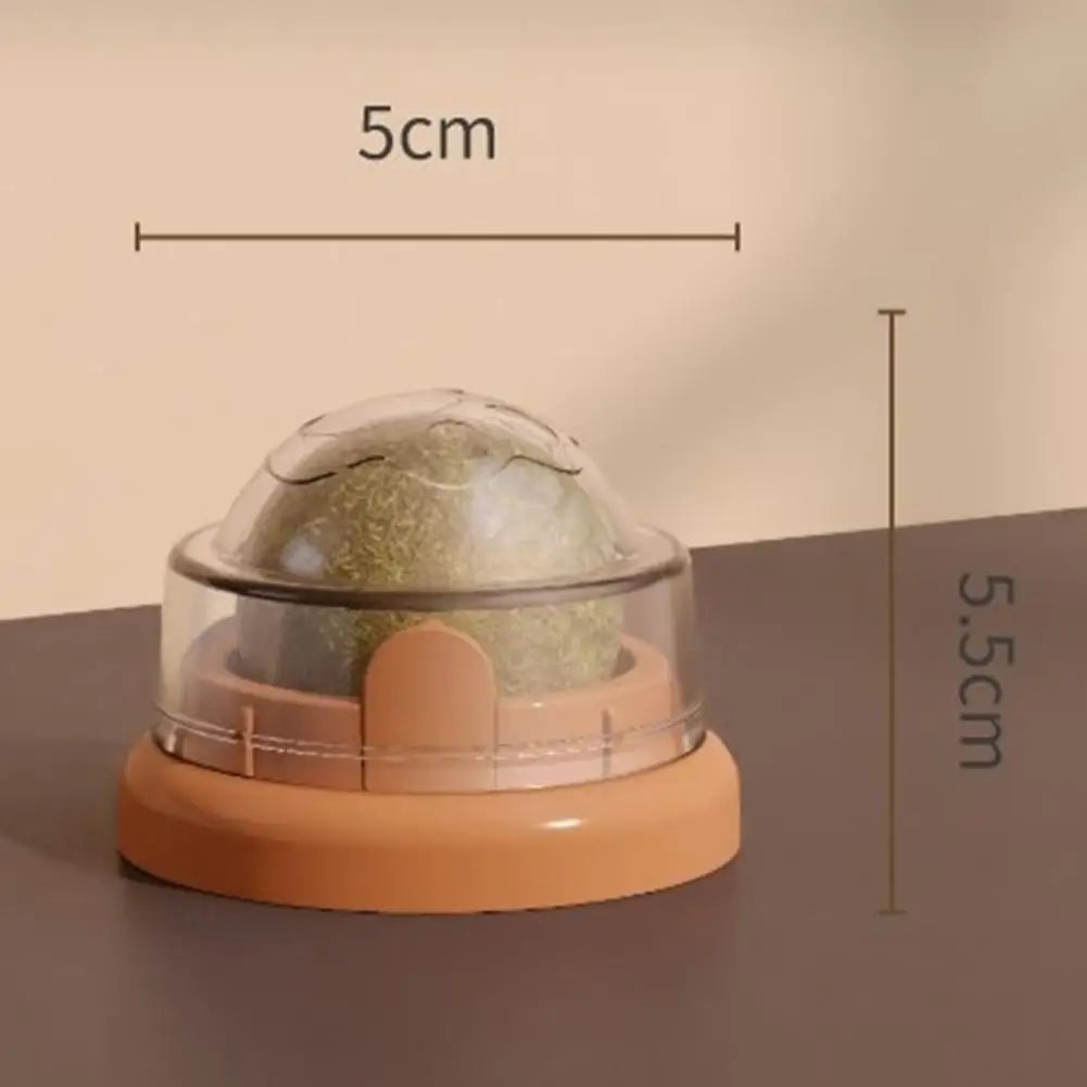 Small globe with a transparent dome on a beige background, showing measurements.