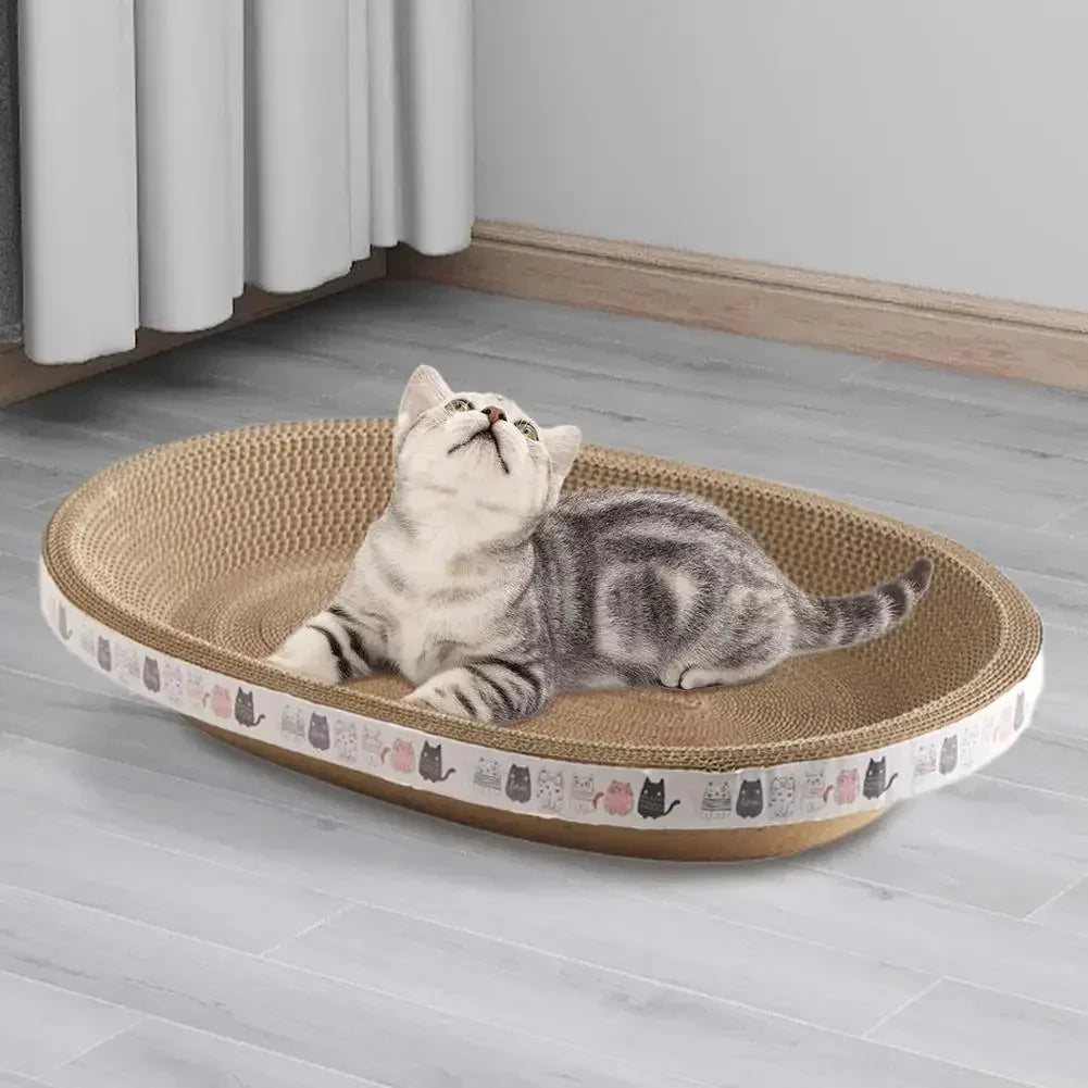 Cat lying on a round cat bed with a patterned edge in a room.