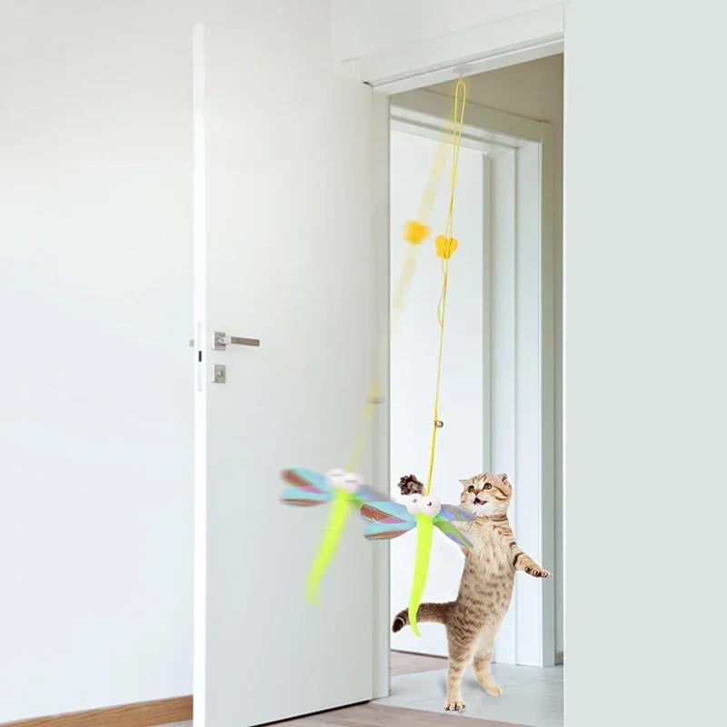 Cat playing with a colorful toy attached to the top of the door frame. 