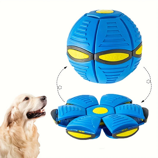 Blue and yellow ball and frisbee with a dog looking at it on a white background