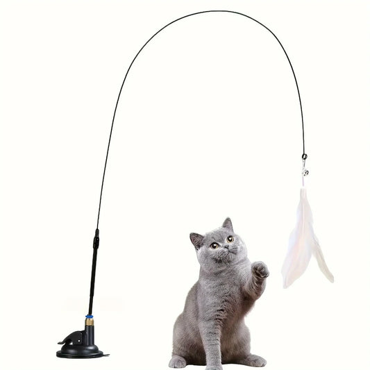 Cat playing with a wand toy on a white background
