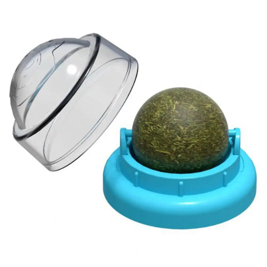 Blue container with a transparent lid holding a green spherical object on a white background