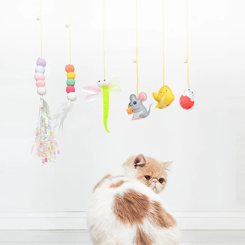 Cat playing with a colorful hanging toy on a white background