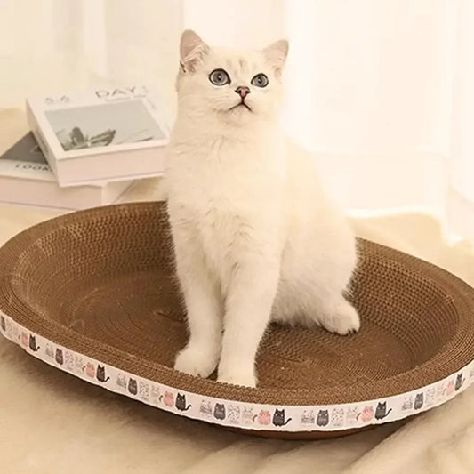 Cat sitting on a brown cat scratcher with a patterned edge.