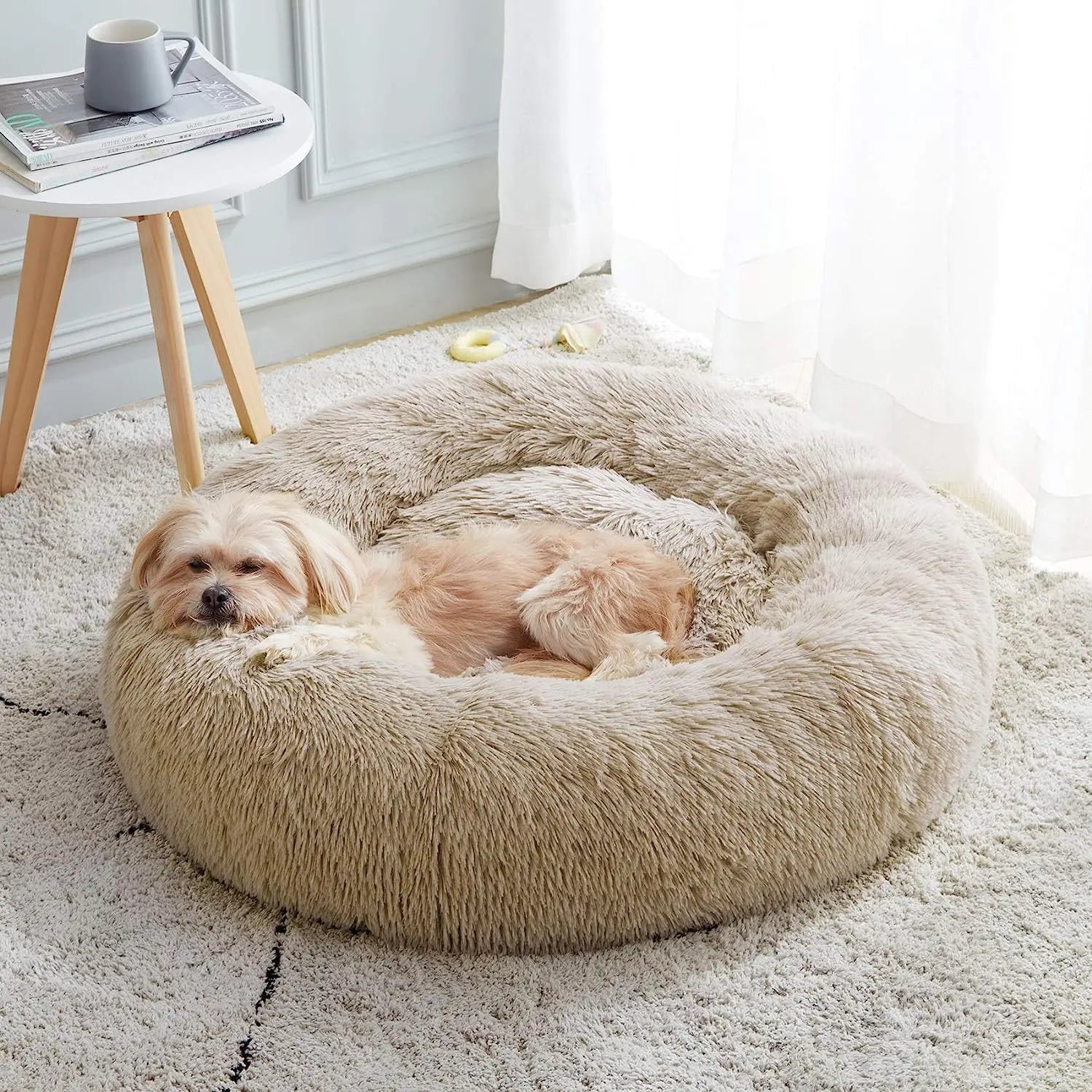 Dog lying on a fluffy beige pet bed in a bright room with a small round table and newspaper.