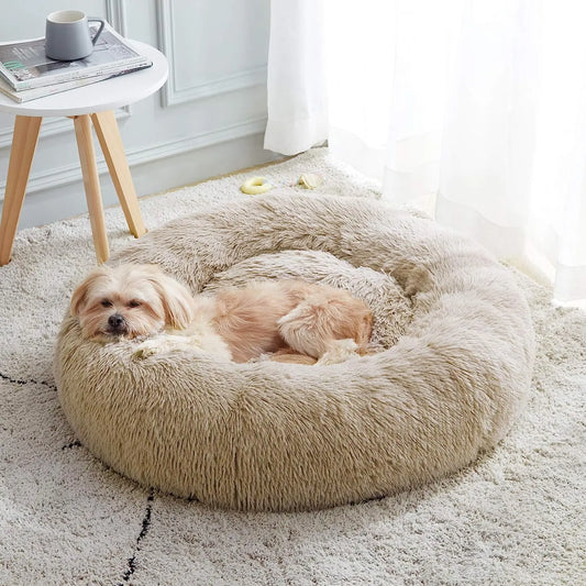 Dog lying on a fluffy beige pet bed in a bright room with a small round table and newspaper.