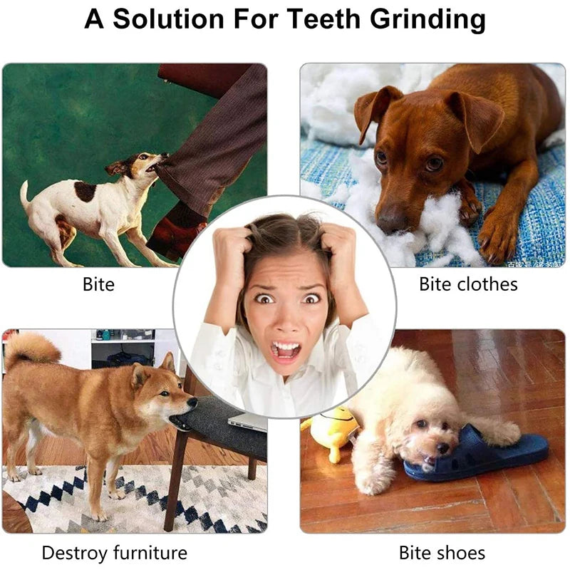 Collage of a dog biting various objects with text 'A Solution For Teeth Grinding'.