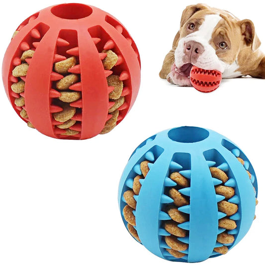 Red and blue dog toy balls filled with kibble in the grooves and a dog chewing on a red ball.