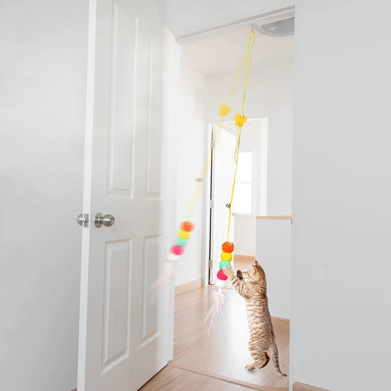 Cat playing with a colorful hanging toy in a room with white walls and a door.